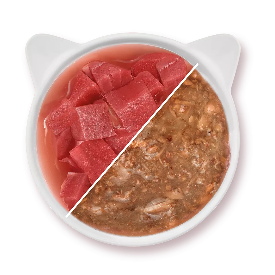 WOW CAT Thon en Sauce – Nourriture humide pour chat adulte 85g