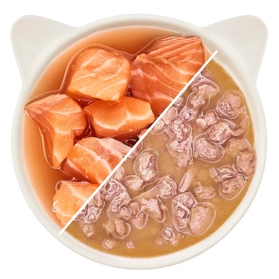 WOW CAT Saumon en Sauce – Nourriture humide pour chat adulte 85g