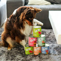 WOW Nourriture Humide pour Chien – 400g | Plusieurs Goûts