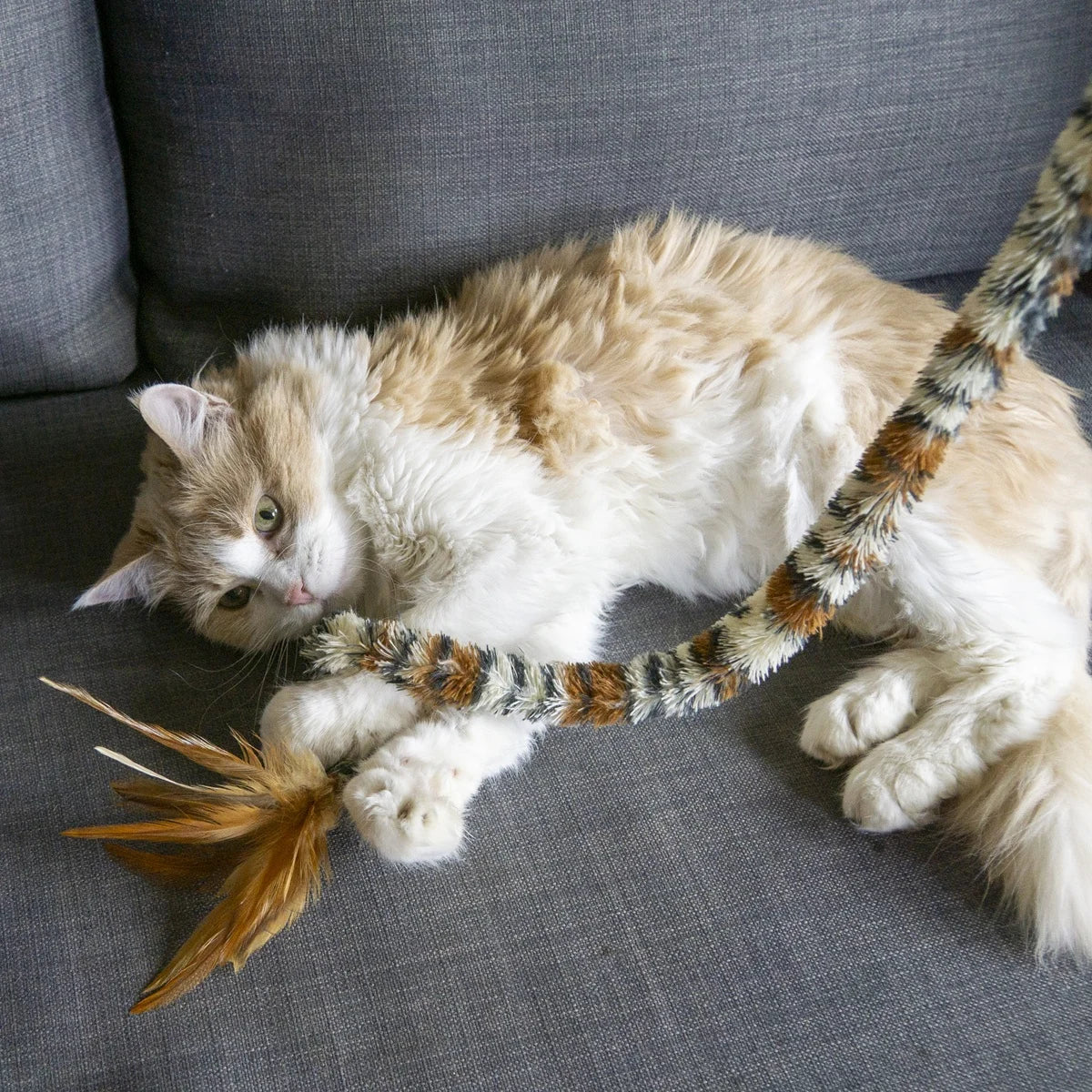 Canne à pêche KONG Swizzle Bird Teaser pour chat