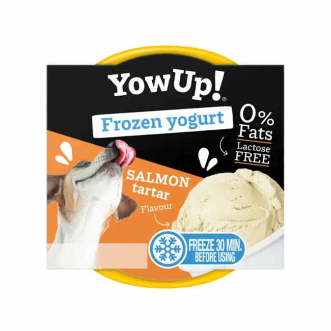 YowUp! Yaourt Glacé Tartare de Saumon – Chien & Chat 110g