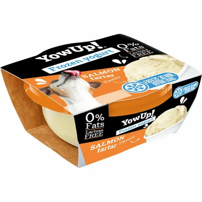 YowUp! Yaourt Glacé Tartare de Saumon – Chien & Chat 110g